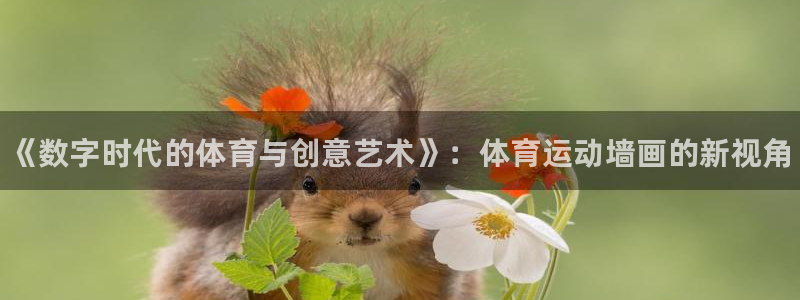 米兰体育官网下载招商电话号码查询是多少:《数字时代的体育与创